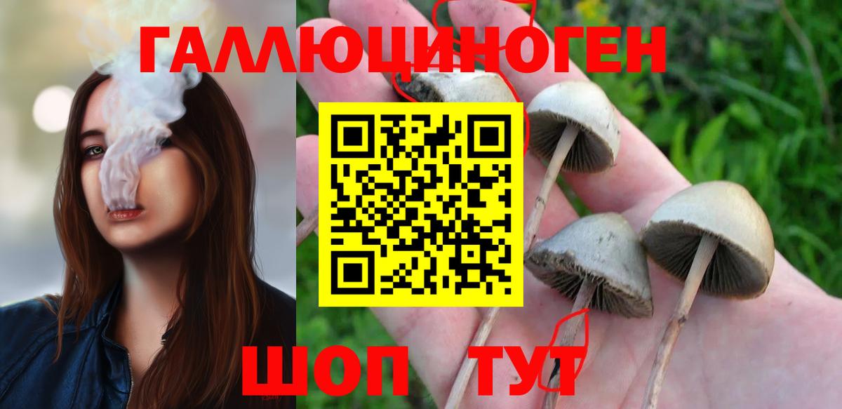 Галлюциногенные грибы Cubensis  Вход с VPN  Псилоцибиновые грибы мухоморы  Майский 